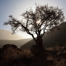 Taftan