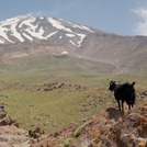 Damavand