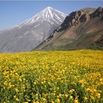 Ali Saeidi NeghabeKoohestaN, Damavand