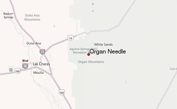 Organ Needle Location Map