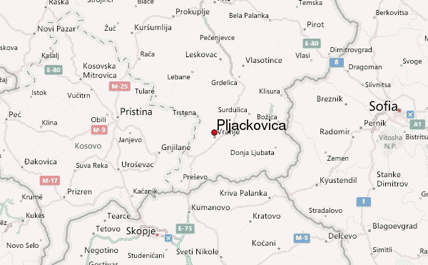 Image result for pljaÄkovica
