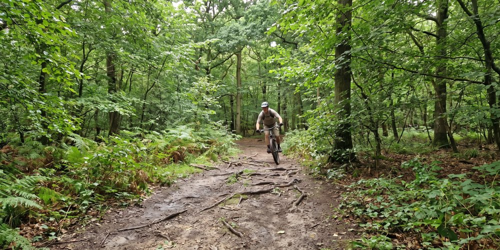 Epping Forest
