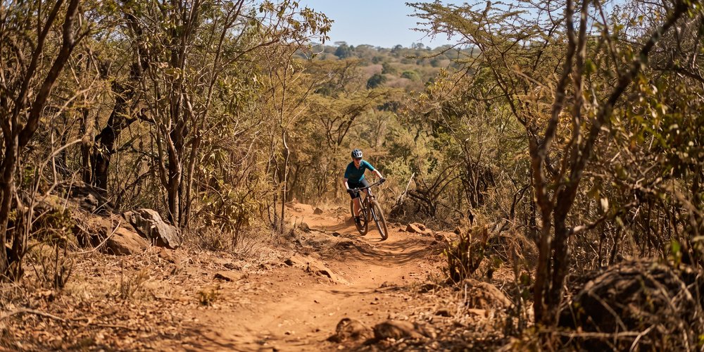 Karura Forest