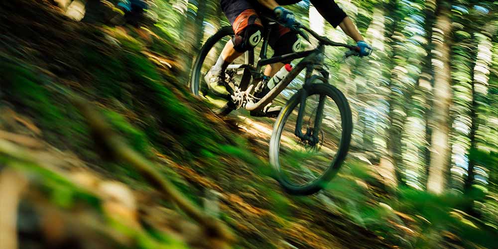 Szczyrk Enduro Trails photo