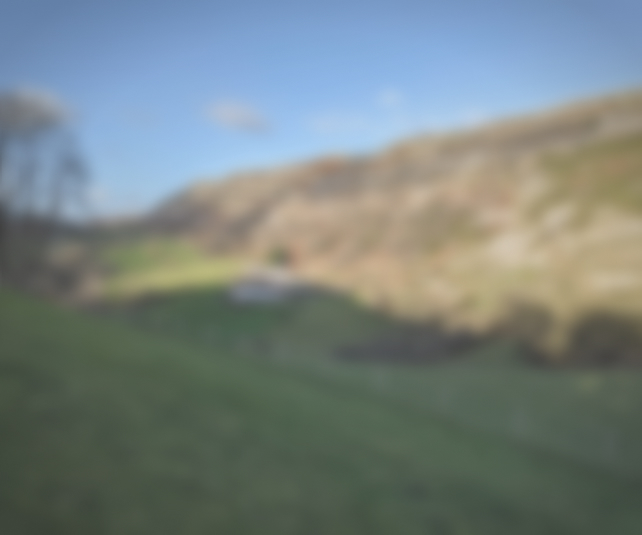 Weed Patch Hill