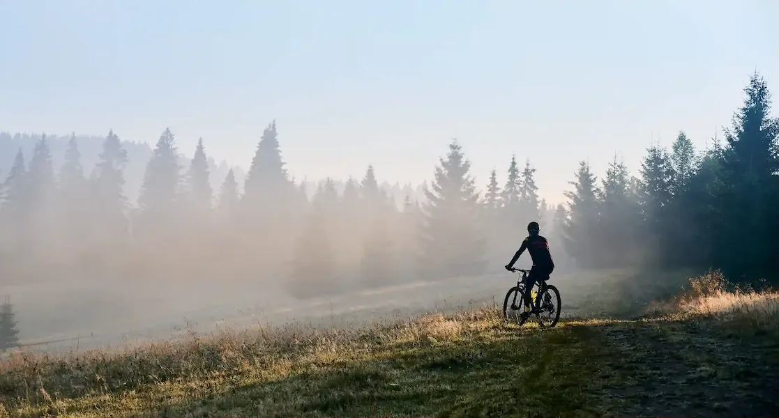 Mountain biker on trail