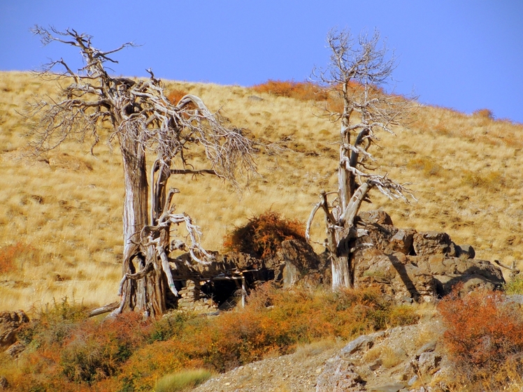 Ali   Saeidi   NeghabeKoohestaN, Damavand (دماوند)