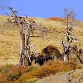 Ali   Saeidi   NeghabeKoohestaN, Damavand (دماوند)