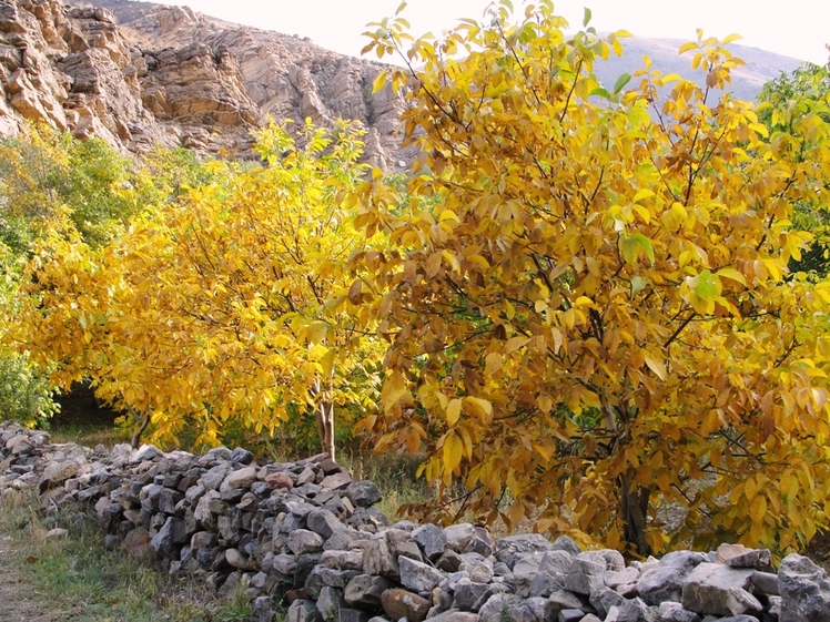 Ali   Saeidi   NeghabeKoohestaN, Damavand (دماوند)