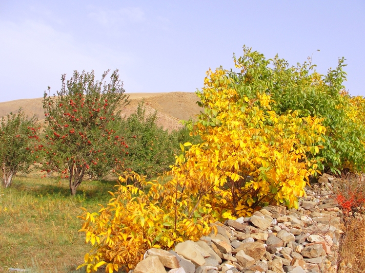 Ali   Saeidi   NeghabeKoohestaN, Damavand (دماوند)