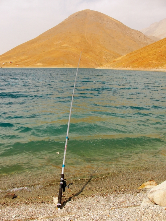 Ali   Saeidi   NeghabeKoohestaN, Damavand (دماوند)