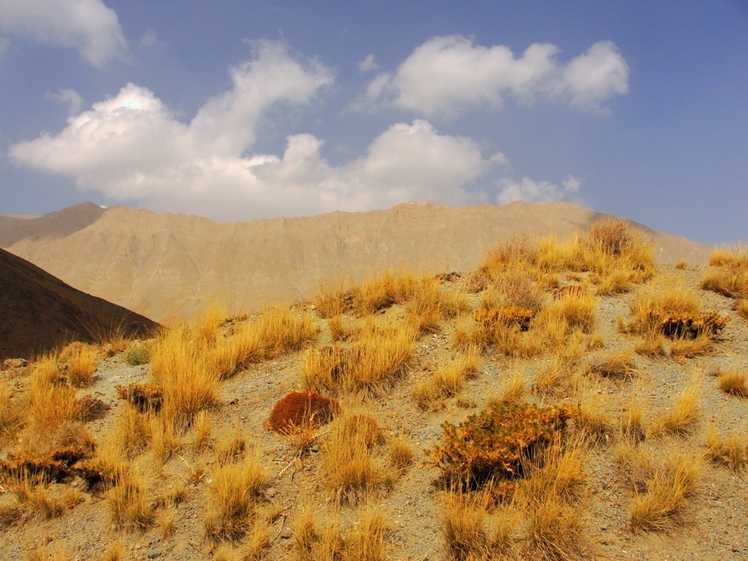 Ali   Saeidi   NeghabeKoohestaN, Damavand (دماوند)