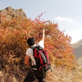 Ali   Saeidi   NeghabeKoohestaN, Damavand (دماوند)