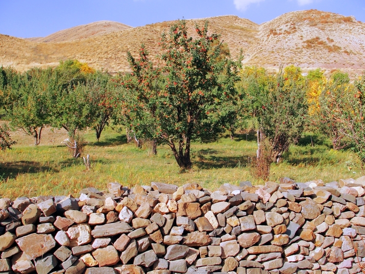 Ali   Saeidi   NeghabeKoohestaN, Damavand (دماوند)