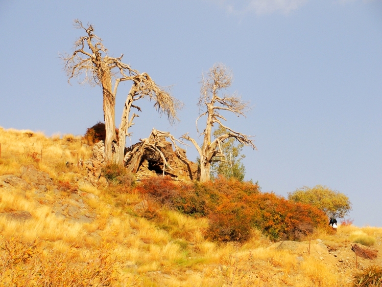 Ali   Saeidi   NeghabeKoohestaN, Damavand (دماوند)