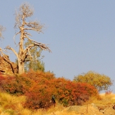 Ali   Saeidi   NeghabeKoohestaN, Damavand (دماوند)