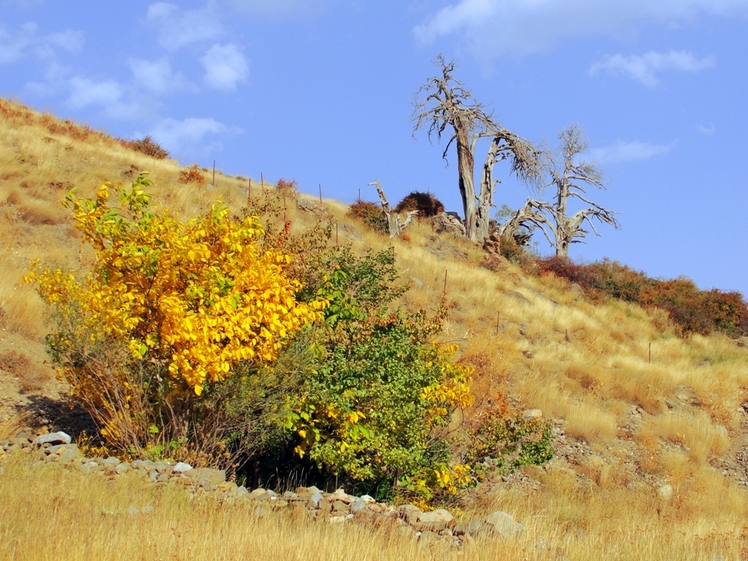 Ali   Saeidi   NeghabeKoohestaN, Damavand (دماوند)