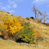 Ali   Saeidi   NeghabeKoohestaN, Damavand (دماوند)