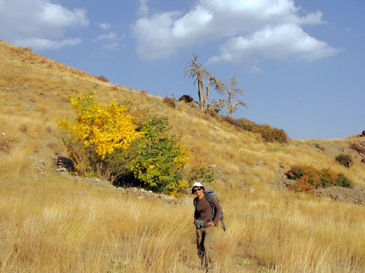 Ali   Saeidi   NeghabeKoohestaN, Damavand (دماوند)