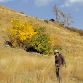 Ali   Saeidi   NeghabeKoohestaN, Damavand (دماوند)