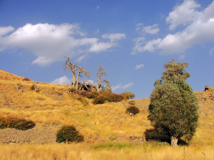Ali Saeidi NeghabeKoohestaN, Damavand (دماوند)