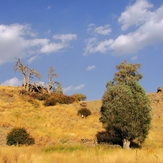 Ali   Saeidi   NeghabeKoohestaN, Damavand (دماوند)