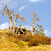 Ali   Saeidi   NeghabeKoohestaN, Damavand (دماوند)