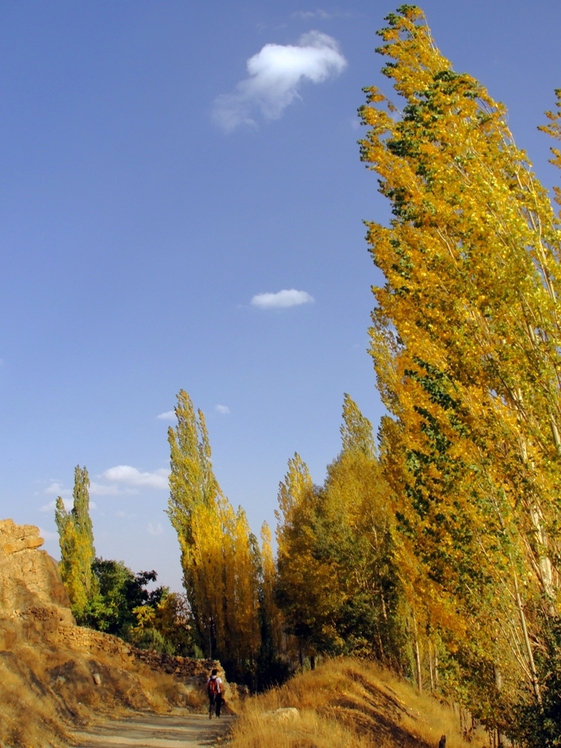 Ali   Saeidi   NeghabeKoohestaN, Damavand (دماوند)