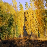 Ali   Saeidi   NeghabeKoohestaN, Damavand (دماوند)