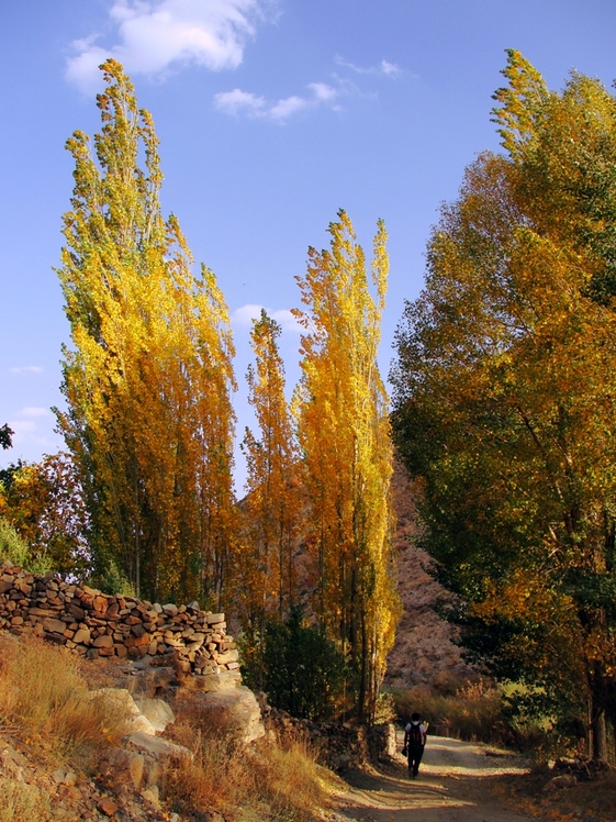 Ali   Saeidi   NeghabeKoohestaN, Damavand (دماوند)