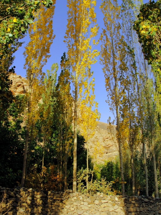 Ali   Saeidi   NeghabeKoohestaN, Damavand (دماوند)