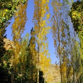 Ali   Saeidi   NeghabeKoohestaN, Damavand (دماوند)