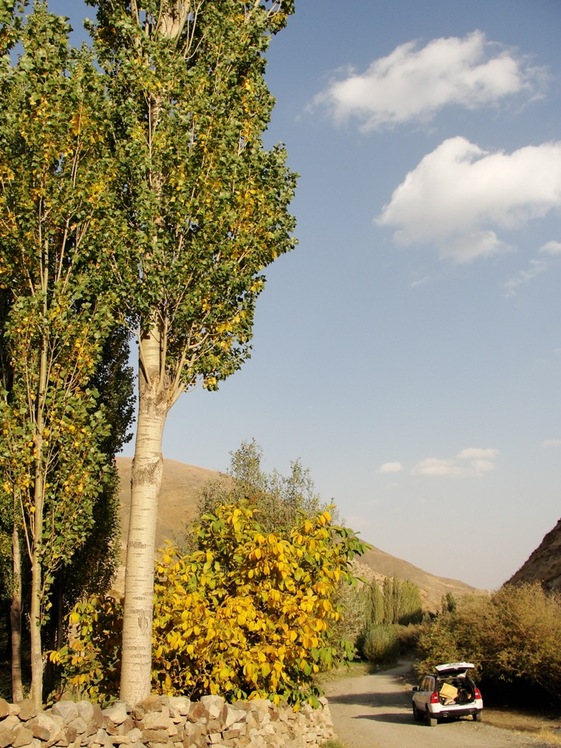 Ali   Saeidi   NeghabeKoohestaN, Damavand (دماوند)