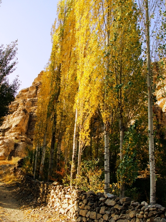 Ali   Saeidi   NeghabeKoohestaN, Damavand (دماوند)