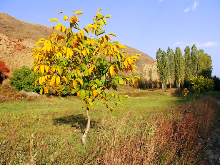 Ali   Saeidi   NeghabeKoohestaN, Damavand (دماوند)