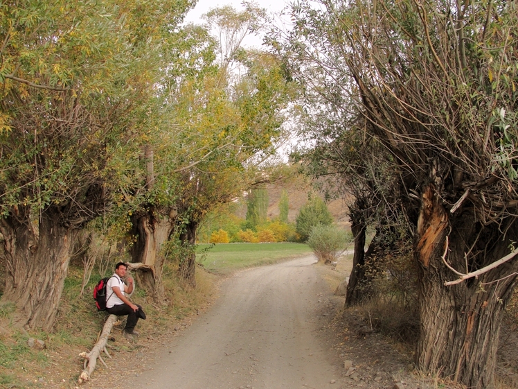 Ali   Saeidi   NeghabeKoohestaN, Damavand (دماوند)