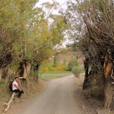 Ali   Saeidi   NeghabeKoohestaN, Damavand (دماوند)