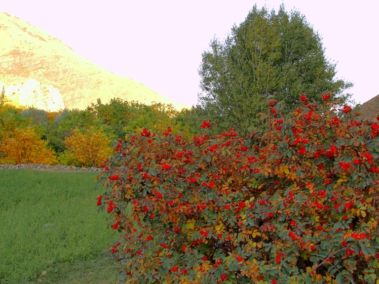 Ali   Saeidi   NeghabeKoohestaN, Damavand (دماوند)