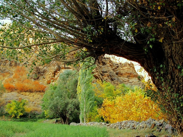 Ali   Saeidi   NeghabeKoohestaN, Damavand (دماوند)