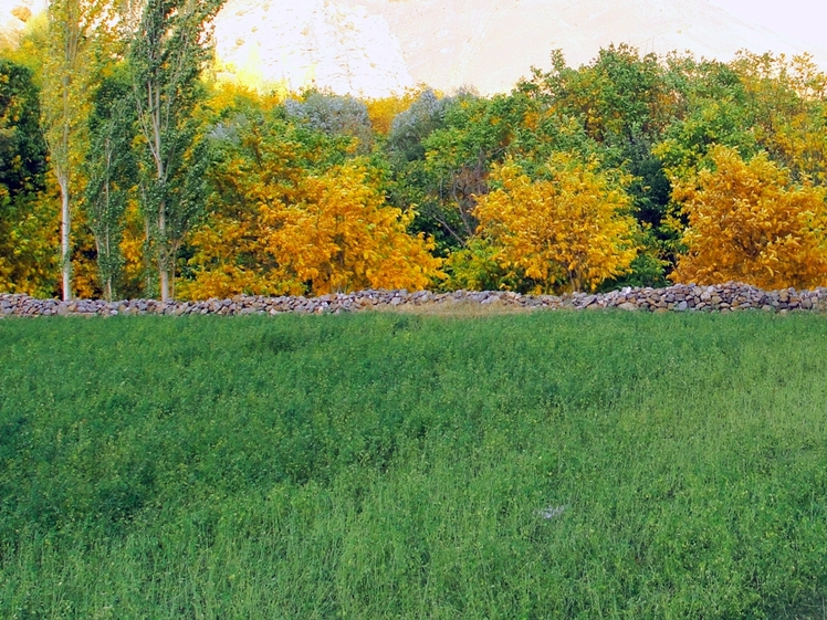 Ali   Saeidi   NeghabeKoohestaN, Damavand (دماوند)