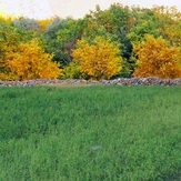 Ali   Saeidi   NeghabeKoohestaN, Damavand (دماوند)