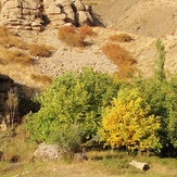 Ali   Saeidi   NeghabeKoohestaN, Damavand (دماوند)