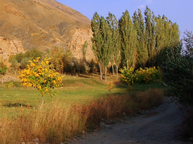 Ali   Saeidi   NeghabeKoohestaN, Damavand (دماوند)