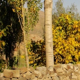 Ali   Saeidi   NeghabeKoohestaN, Damavand (دماوند)