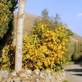 Ali   Saeidi   NeghabeKoohestaN, Damavand (دماوند)