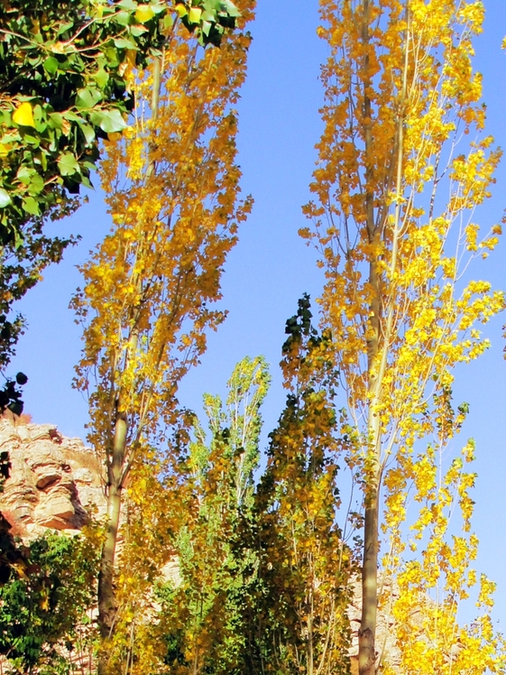 Ali Saeidi NeghabeKoohestaN, Damavand (دماوند)