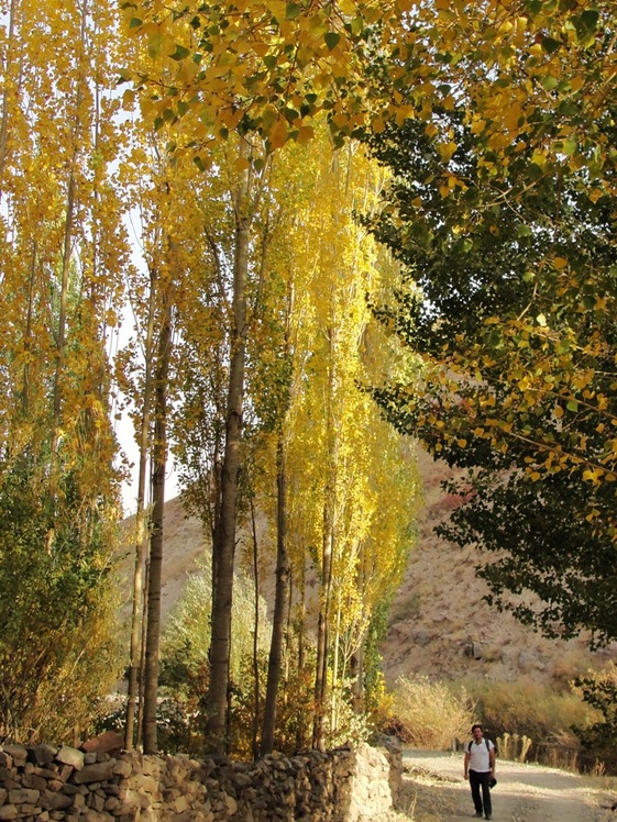 Ali   Saeidi   NeghabeKoohestaN, Damavand (دماوند)