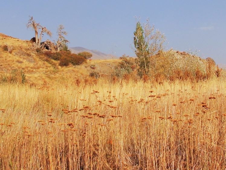 Ali   Saeidi   NeghabeKoohestaN, Damavand (دماوند)