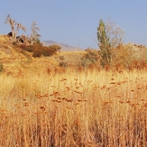 Ali   Saeidi   NeghabeKoohestaN, Damavand (دماوند)