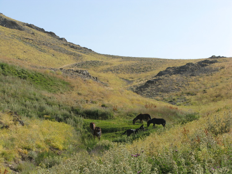 piazchal valley, Tochal